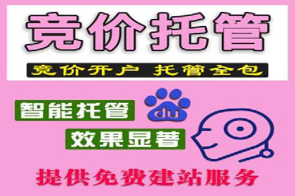 竞价推广策略解析，代运营公司的成功故事分享
